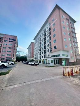(The Nine Condo) นาป่า