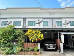 มบ.ไลโอบิส(วัดศรี)