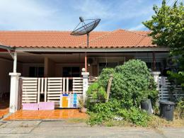 มบ.ทรัพย์รุ่งเรืองซิตี้ 1 (บ้านเก่า-พานทอง)